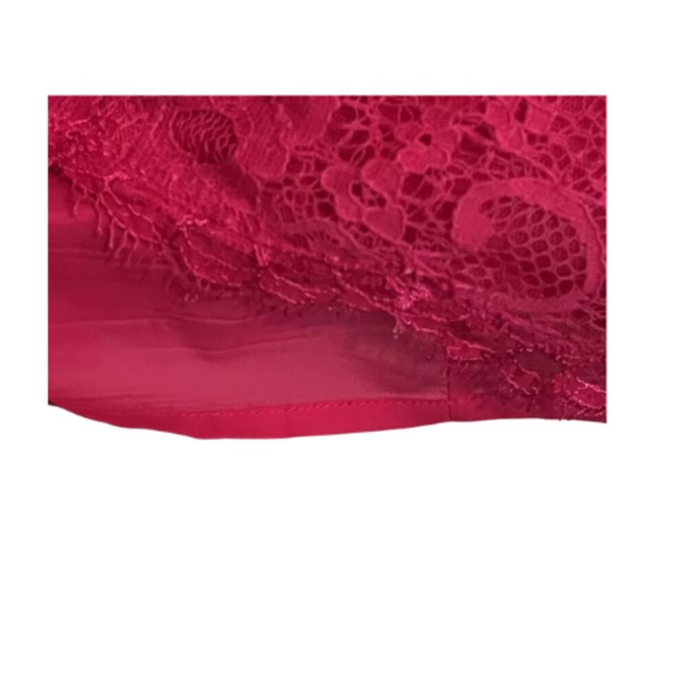 BCBG Max Azria Devom Begonia Pink Lace Overlay Sheer Lace Midriff Sleeves - Picture 11 of 11